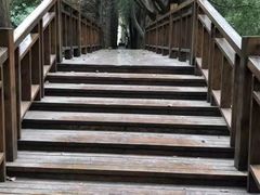 -同里国家湿地公园