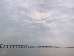 -宝安西湾红树林湿地公园