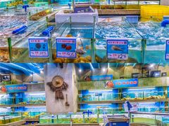 水产区-达叔香味海鲜(海棠68环球美食街店)