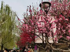 -元大都城垣遗址公园