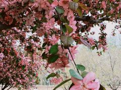 -蓝地时尚庄园(北京清河营地铁站店)