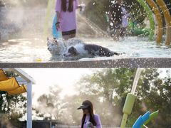 -爪吧宠物乐园 (温榆河示范区店)