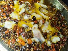 -雲蜀龙阁·金牌水煮鱼(方庄店)