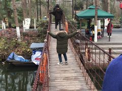 -合肥滨湖国家森林公园