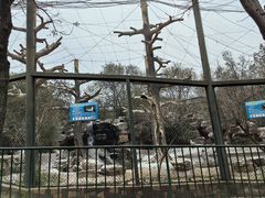 -石家庄市动物园