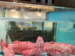 -阿伟海鲜楼·福建菜(延寿店)