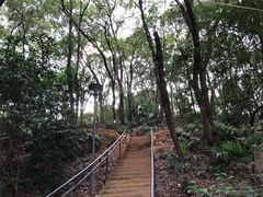 -马王堆汉墓遗址