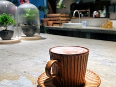 -自由生长植物工作室(深港花卉中心店)