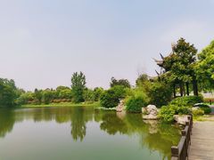 -朴园