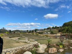 -福建土楼（华安）旅游区•大地土楼群