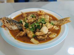 -煲来饱去冷水鱼