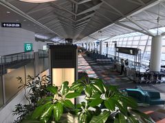 -中部国际机场