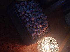 -碧特博格啤酒花园餐厅(芜湖路店)