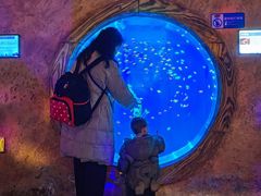 -华夏文旅海洋公园