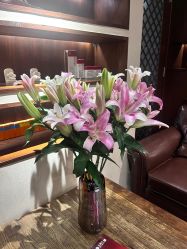 点击看大图 -禾颜社·精致美容