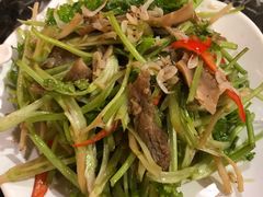 -燕青小馆(东园大厦店)