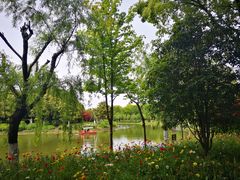 -上海鲜花港