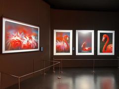 -罗红摄影艺术馆