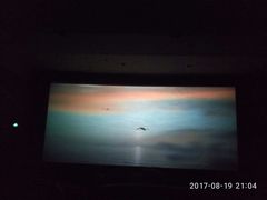 -华星国际影城