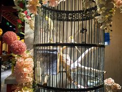 -清真·京华源铜锅涮肉(丰庆店)