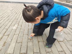 -木塔寺遗址生态公园