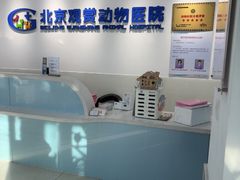 -北京观赏动物医院·24小时大型综合·猫专科·异宠专科