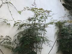 -苏州文旅花间堂·探花府酒店