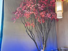 -8号厚厨(凤凰店)