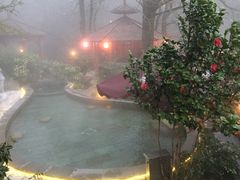 -黄山温泉国际旅游度假区