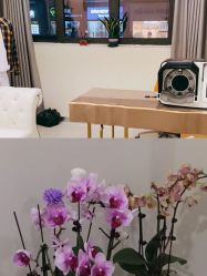 -海涛医疗美容·面部抗衰·注射美鼻