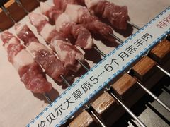 -很久以前羊肉串(昌里路三钢里店)