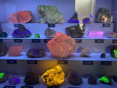 -湖南省地质博物馆