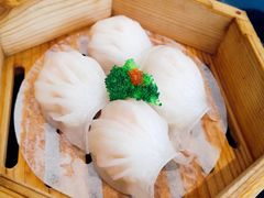 -龙凤点心饼家·39年老字号(松岗店)