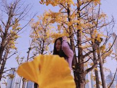 -百林公园-两江幸福广场