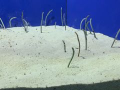 -上海海洋水族馆