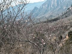 -北京凤凰岭