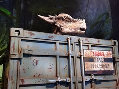 -侏罗纪世界电影特展(广州站)
