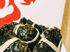 阳澄湖大闸蟹-水岸居湖景农家乐·阳澄湖大闸蟹