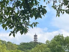 -玲燕蒸菜馆(江东路店)