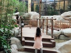 -杭州开元森泊度假乐园