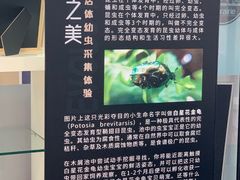 -燕莎友谊商城(亮马桥店)