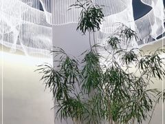 -上蔬无瑕· 创意素食·Vegetarian(华采天地店)
