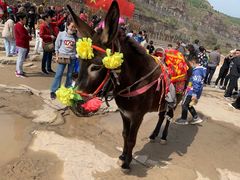 -陕西黄河壶口瀑布旅游区
