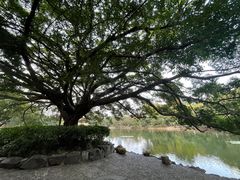 -荔枝公园(福田区)