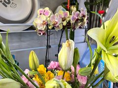 -双季花艺园艺市场(浦东店)