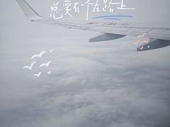 -重庆江北国际机场-T2航站楼