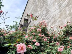 -阿木舂记·特色小吃(平江路店)