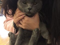 -萌喵宠狗爱心宠咖