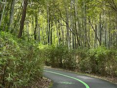 -天目湖涵田度假村