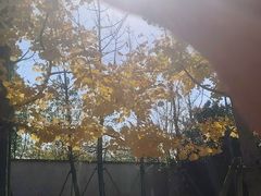-苏州海洋馆